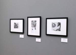 three Dog Studies framed paintings on small board installed at Rose-Hulman Institute of Technology, Elizabeth Lisa Petrulis Spring 2014.