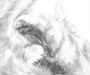 Sleeping cat's face is seen in the shadow made as she covers her head with her paw. An ear, a paw, a noes become decipherable from the blurr of soft fur. A black and white acrylic painting by Elizabeth Lisa Petrulis.