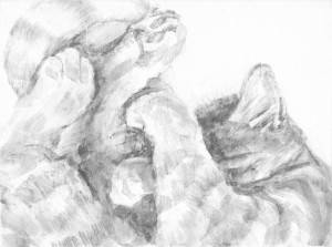 Intimate portrait of sleeping cat focusing on the soft tangle of legs, tail and ear. Black and white acrylic painting by Elizabeth Lisa Petrulis.