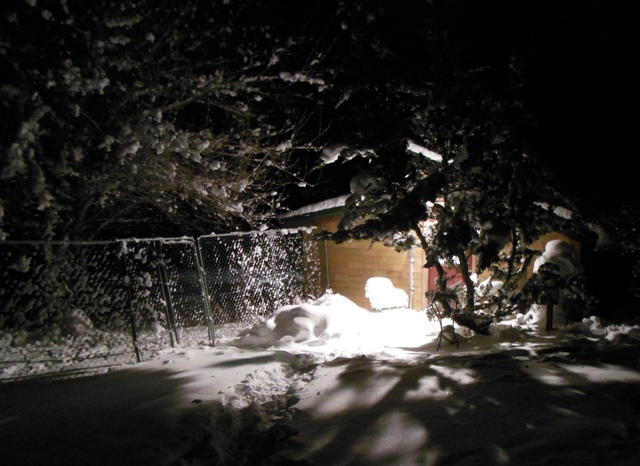 petrulis studio at night in the snow