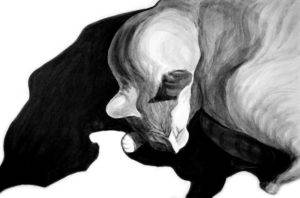 Cat shadow, Dog Studies, high contrast black acrylic painting, Elizabeth Lisa Petrulis