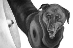 Black and white painting of two dogs, one seen only by the tip of its nose through his medical collar.