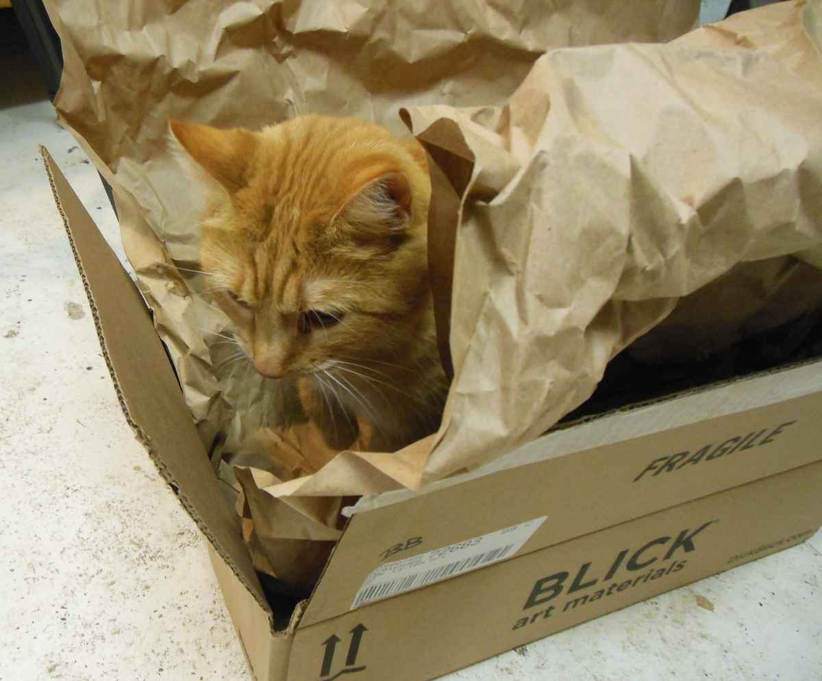 Orange studio cat Boodle sitting in a Dick Blick art supply shipping box and the brown wrapping paper that cushioned the supplies.