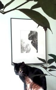 A photograph of the painting Strife on the wall and the rescued cat Coal sitting in front of it under a house plant.