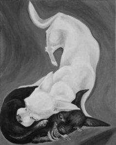 Two wrestling chihuahua dogs painted in classic black and white acrylic. On a gray toned background one white chihuahua spans the canvas from top to bottom as the other black chihuahua curls in a defensive ball under the neck of the white dog.