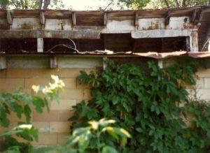 Plants overtaking the masonry exterior on the south side where the clear story window openings are on the Chicken House Studio.