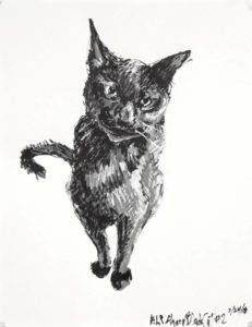 Black white and grey paint pen drawing of a seated black cat on a white ground. Seen from the front with tail curled to side.