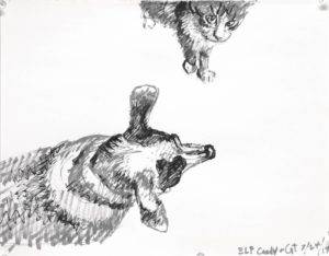 Rat terrier dog seen from above ears straight out to sides nose forward. And her kitty friend walking into the scene looks up at the viewer. A black, white and grey felt tip paint pen drawing by Elizabeth Lisa Petrulis.