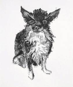 Harley 1, 2018, acrylic paint pens on paper, Elizabeth Lisa Petrulis. Portrait drawing of a scruffy bearded chihuahua with tuxedo markings.