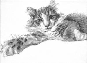 Painting of a resting cat with paw extended toward the viewer. Fluffy cat with tuxedo markings painted by Elizabeth Lisa Petrulis.