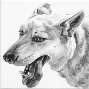 Dino's tongue hangs to the side of his canine teeth in this head portrait of a white German Shepherd type mutt. Painted in black and white by Elizabeth Lisa Petrulis.