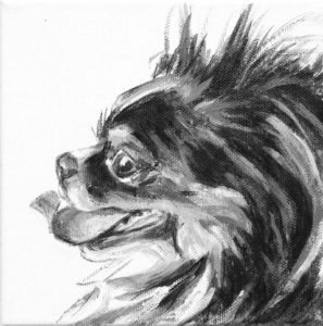 Faygen's tongue curves up toward his nose in this portrait of a long haired Chihuahua by Elizabeth Lisa Petrulis.