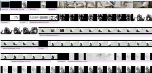 filmstrip for video showing the development of The E3 a commissioned portrait in the Family Portrait series by Elizabeth Lisa Petrulis