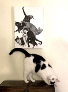 painting of five cats hung above one of the cat models posing on a cabinet