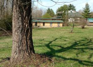 South side widows of the Petrulis Chicken House Studio as seen from across a lawn under the shadow of a black walnut that has not leafed out yet.