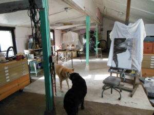 a view down the long studio before the dividing wall in 2013 with two dogs