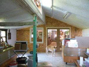 Studio divided in half by a wall with window and glass doors, dog stands in front of the unpainted wall.