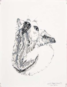 dog drawing portrait neck and head nose in air
