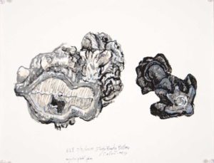 drawing of two plastic animal shaped banks as seen from the bottom
