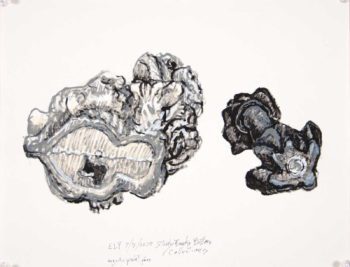 drawing of two plastic animal shaped banks as seen from the bottom