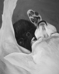 painting of black and white dogs wrestling