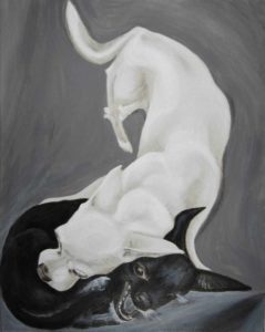 Two wrestling chihuahua dogs painted in classic black and white acrylic. On a gray toned background one white chihuahua spans the canvas from top to bottom as the other black chihuahua curls in a defensive ball under the neck of the white dog.