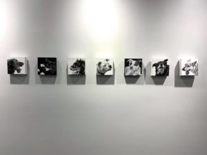 melvin, candy, and the 5 dog tongues installed at rose-hulman