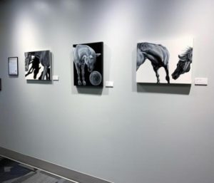 nibble and other horse paintings by elPetrulis installed at Rose-Hulman
