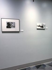 Away 2 and Chihuahua Love installed at Rose-Hulman