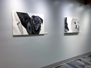 dog portraits megaphone and megaphone yawn from the medical collar series installed at rose-hulman