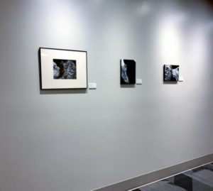 3 paintings on display at Rose-Hulman, Me and the Rascall II, Topper and Lucy, and Self portrait with Dino