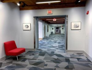 Dog portrait drawings Candy and Hsiao dog (Butterscotch) installed at Rose-Hulman