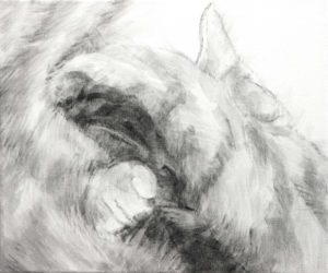 Sleeping cat's face is seen in the shadow made as she covers her head with her paw. An ear, a paw, a noes become decipherable from the blurr of soft fur. A black and white acrylic painting by Elizabeth Lisa Petrulis.