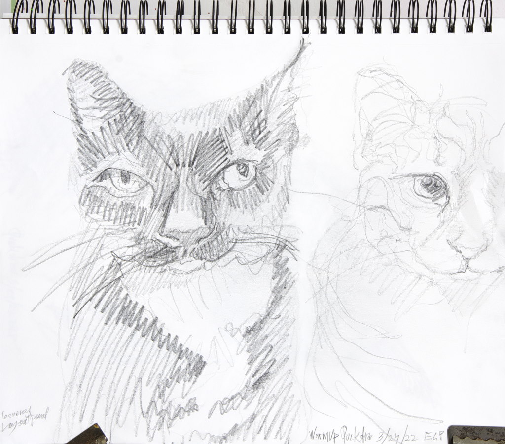 quick pencil caricature drawing of two cats