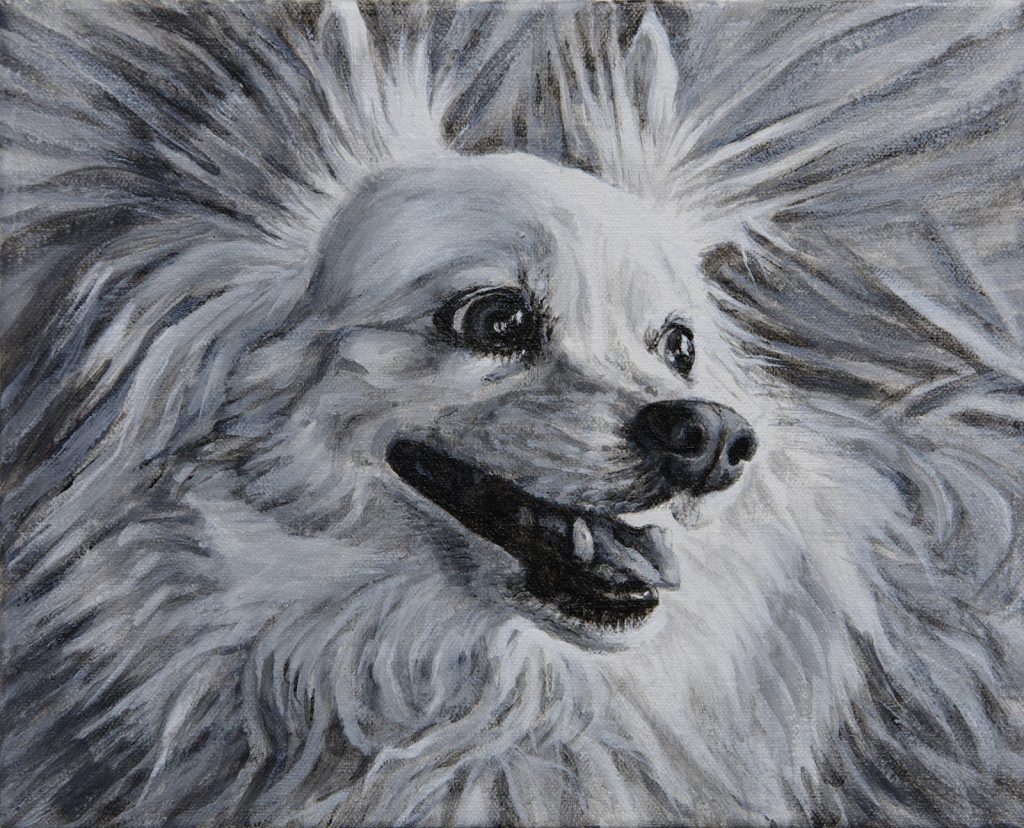 A commissioned black and white acrylic portrait of a Papillon dog by Elizabeth Lisa Petrulis features her luxurious fluff.
