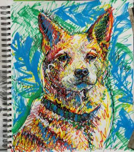 A quickly and loosely drawn dignified portrait of a cattle dog in nature, mostly in primary colors with wide and thin acrylic markers.