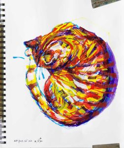 Sketch book drawing of a cat curled at rest, in primary and secondary colors.