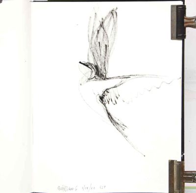 Quick draw Birds 6 sketchbook 1/19/ 2022, acrylic paint pens on paper, 14x11, Elizabeth Lisa Petrulis