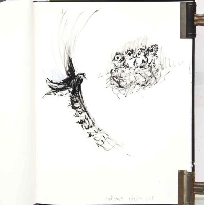 Quick draw Birds 2 sketchbook 1/19/ 2022, acrylic paint pens on paper, 14x11, Elizabeth Lisa Petrulis