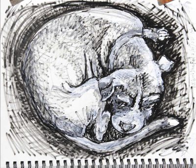 quick draw fail orbs (curled dog), 6/22-3/22, acrylic paint pens on paper 11”x 14”, Elizabeth Lisa Petrulis