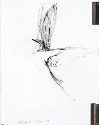 quick draw 6 (bird in flight), 1/19/22, acrylic paint pens on paper 14“x 11”, Elizabeth Lisa Petrulis