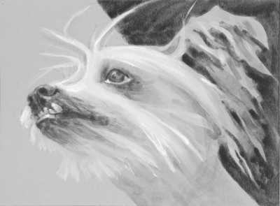 Max Ear, 2015, (Dog Studies, Max), acrylic on paper, 9" x 12", Elizabeth Lisa Petrulis, (Collection of Gemma and Phil Dees).          