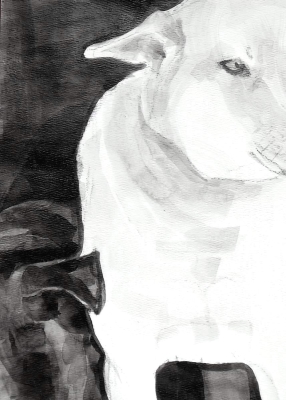 Ears, c. 2009,  Dog Studies, Original Series, black acrylic on prepared paper, 12 x 9", Elizabeth Lisa Petrulis               