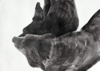 Merge, c.2009, Dog Studies, Original Series, black acrylic on prepared paper, 9" x 12" Elizabeth Lisa Petrulis                